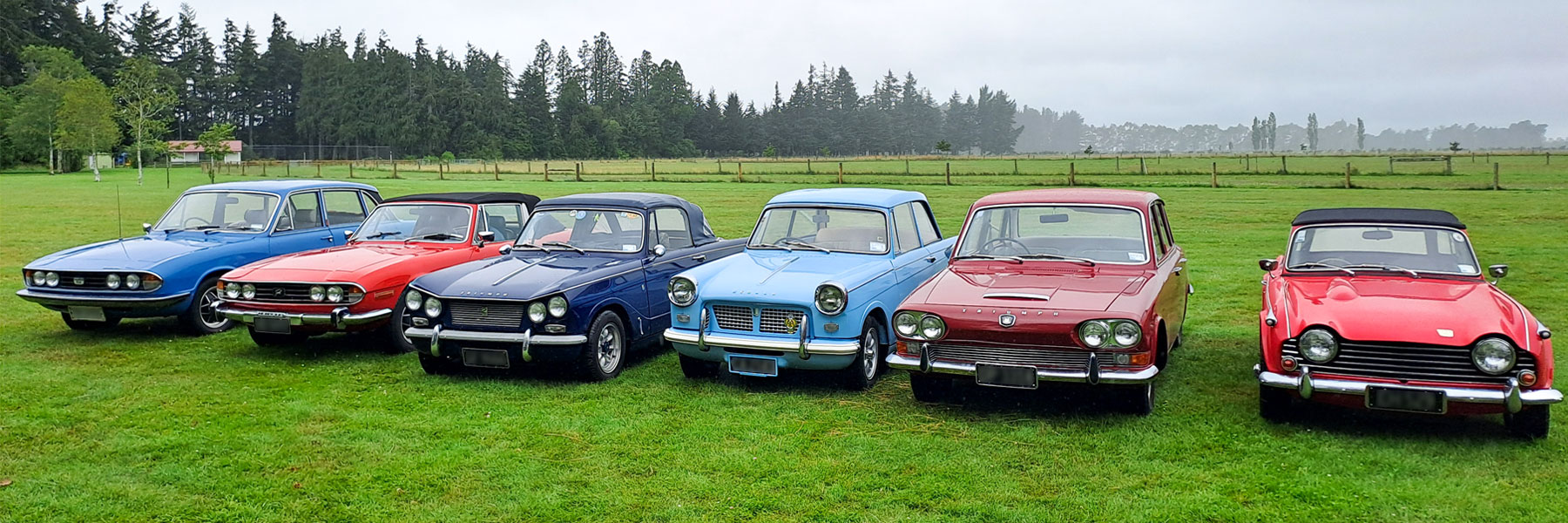 lineup of club members triumph cars